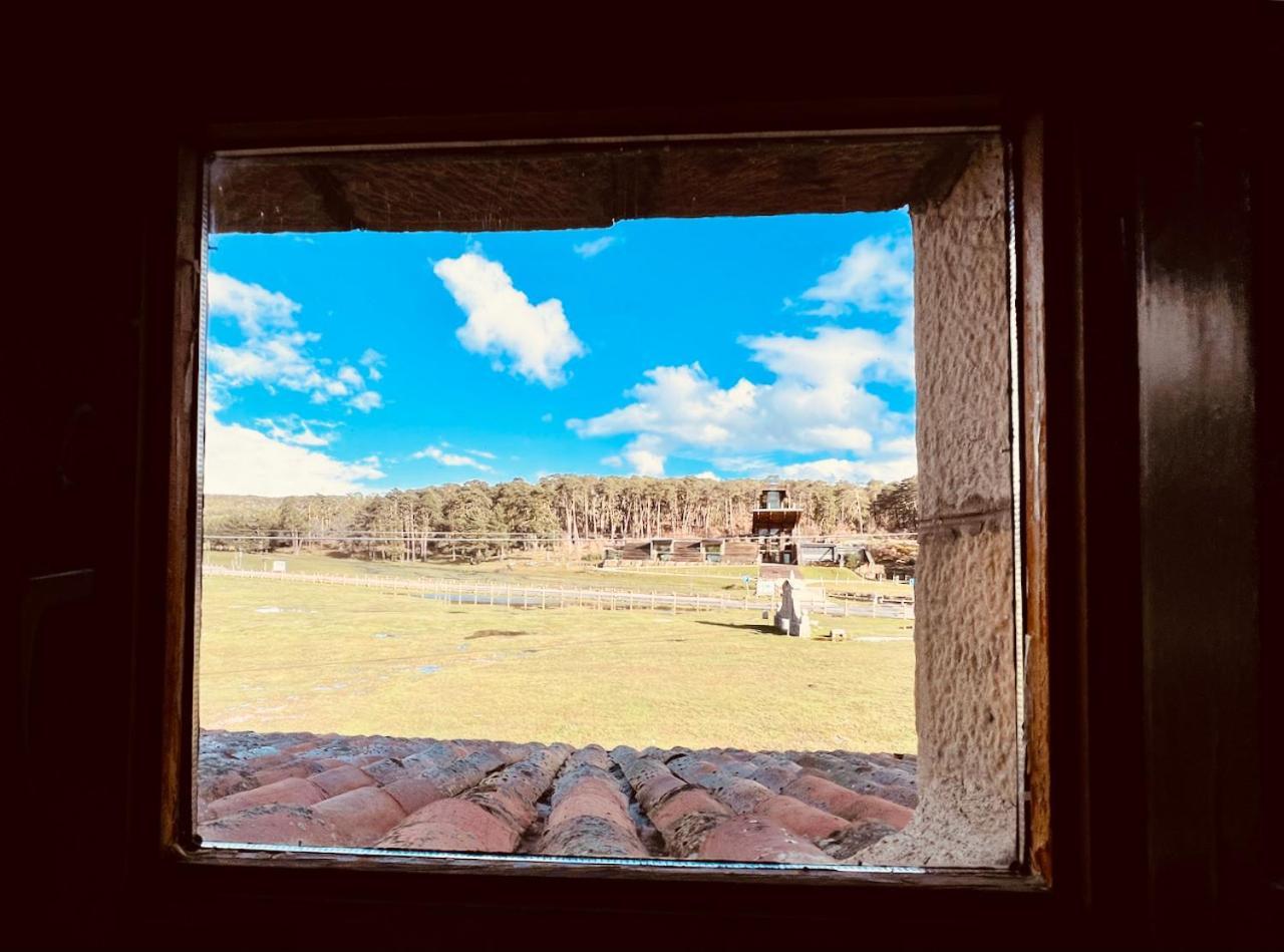 Albergue Pinares - La Casona De Revenga Regumiel de la Sierra Dış mekan fotoğraf